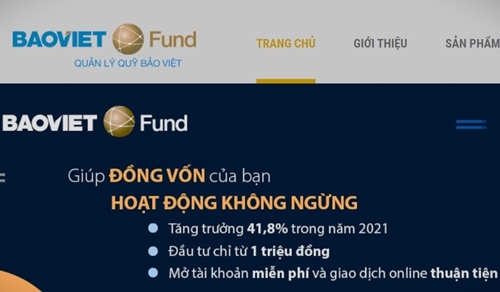 Cần làm gì khi lợi nhuận đầu tư trái phiếu của Bảo Việt Fund giảm 50