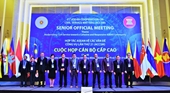 “Hiện đại hóa nền Công vụ hướng tới Cộng đồng ASEAN gắn kết và thích ứng”