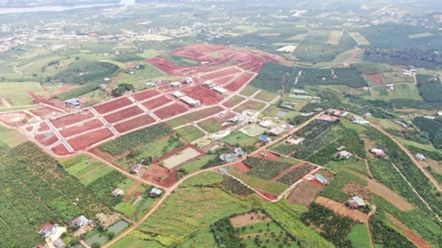 Tăng cường thanh tra, kiểm tra công tác đấu giá quyền sử dụng đất tại Lâm Đồng