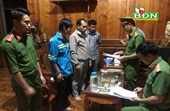 Đắk Nông Sau Kết luận Thanh tra, Công an tỉnh khởi tố nguyên Phó Chủ tịch huyện Đắk Glong 3 đối tượng liên quan