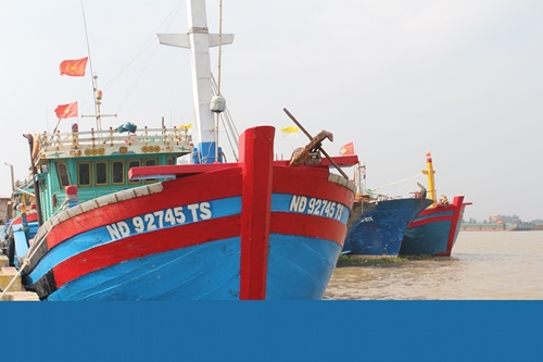 Tập trung cao độ chống khai thác hải sản bất hợp pháp, không báo cáo và không theo quy định