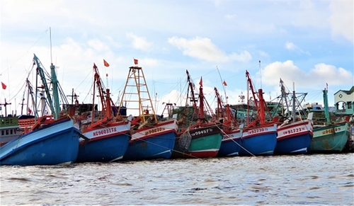 Tổng kiểm tra tàu cá trên biển và chống khai thác IUU trên các vùng biển tỉnh Cà Mau và Kiên Giang