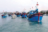 Quyết liệt triển khai các giải pháp chống khai thác hải sản bất hợp pháp để gỡ cảnh báo Thẻ vàng