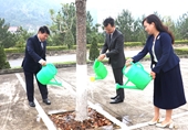 Thanh tra tỉnh Lào Cai Chăm sóc cây xanh nhân dịp năm mới Giáp Thìn 2024
