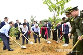 Chủ tịch nước Võ Văn Thưởng phát động Tết trồng cây Đời đời nhớ ơn Bác Hồ Xuân Giáp Thìn 2024 tại Tuyên Quang