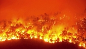 Chủ động phòng cháy, chữa cháy rừng, giảm thiểu đến mức thấp nhất thiệt hại do cháy rừng gây ra