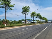 Yêu cầu cung cấp hồ sơ dự án trồng cây xanh Công ty Cây xanh Công Minh