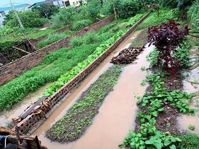 Kiểm soát môi giới bất động sản: Chuyện không của riêng ai!